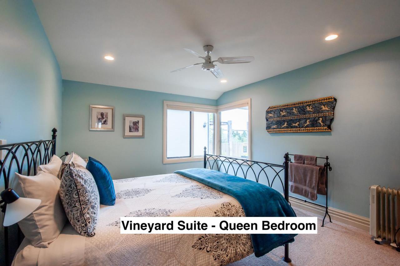 Bed and Breakfast Grey Ridge Vineyard Experience Александра Экстерьер фото
